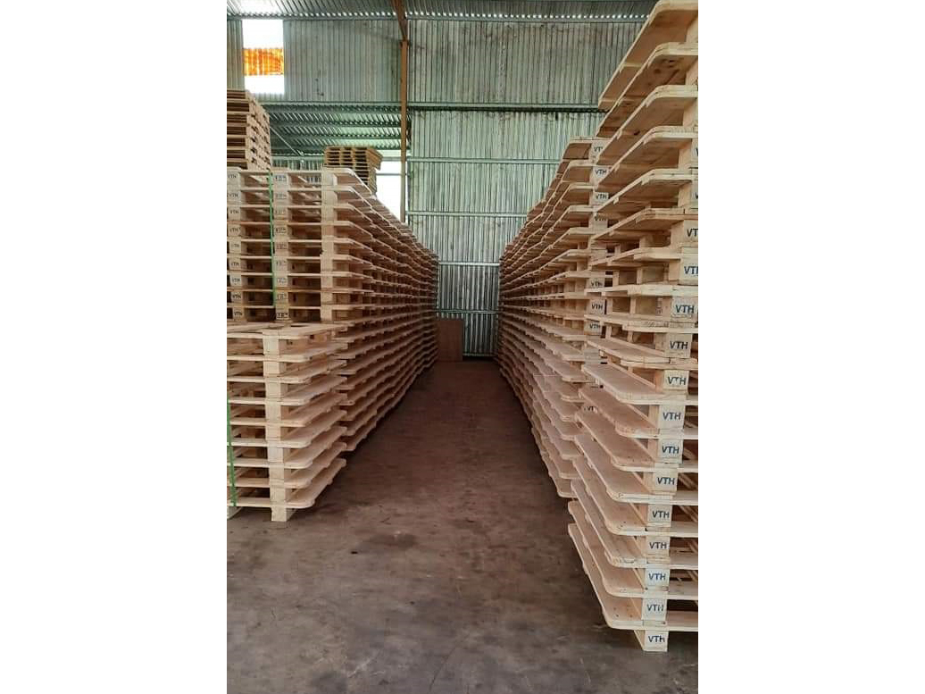 pallet_viet_truong_hai_cong_ty_tnhh_sx_tmdv_viet_truong_hai_21v1nk07.jpg