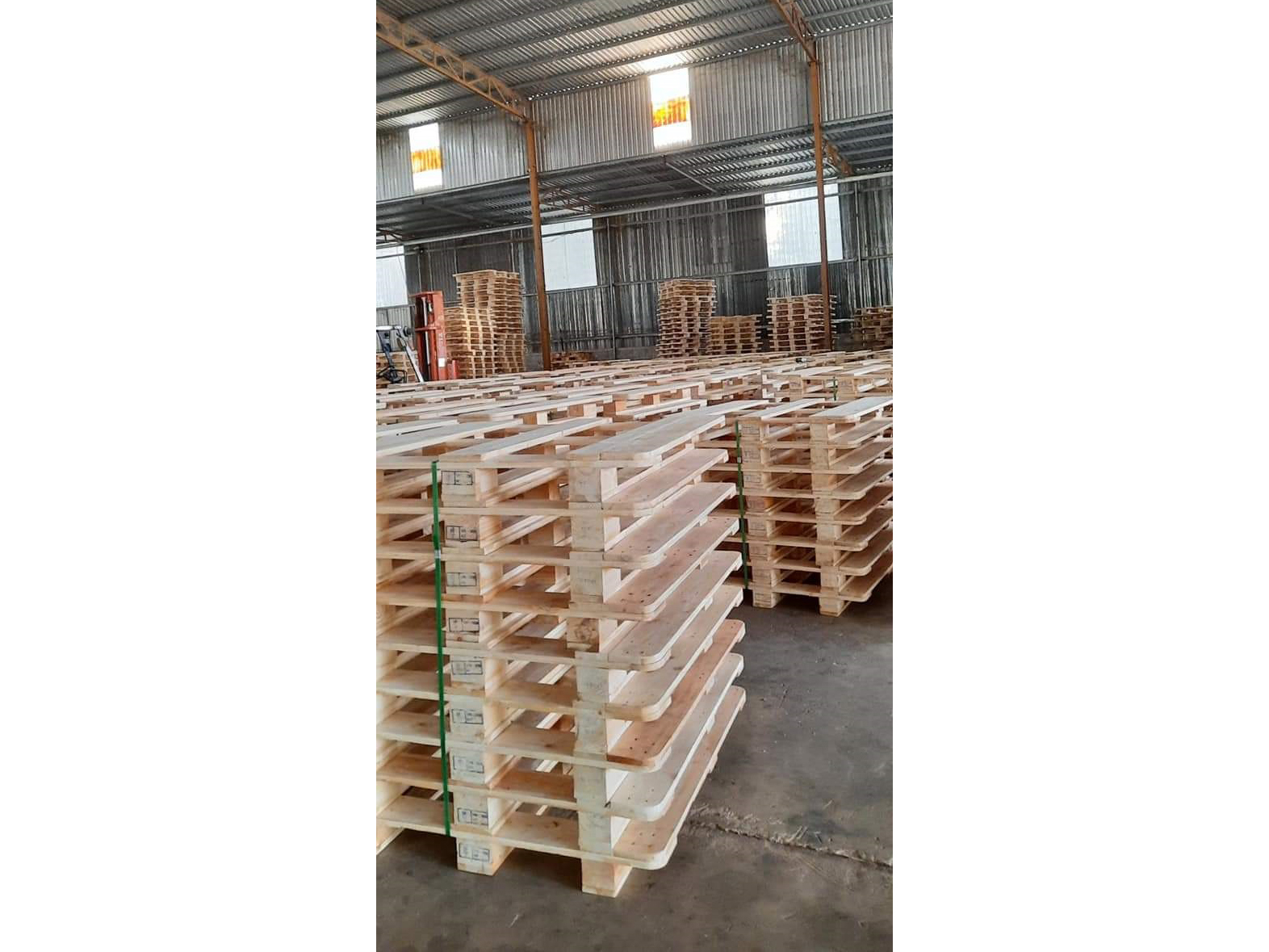 pallet_viet_truong_hai_cong_ty_tnhh_sx_tmdv_viet_truong_hai_932ZA07A.jpg