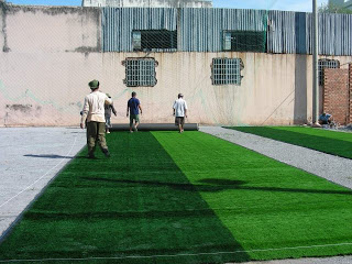 Sân cỏ nhân tạo