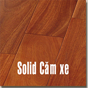 san-go-cam-xe-45339.jpg