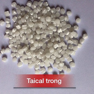 Taical trong