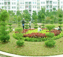 thiet-ke-va-cham-soc-cay-xanh-31676.jpg