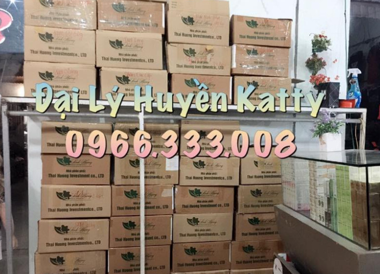tong_dai_ly_my_pham_thien_nhien_linh_huong_pizu_huyen_katty_897x2aj2.jpg
