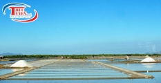 tour-du-lich-bien-long-hai-133731.jpg