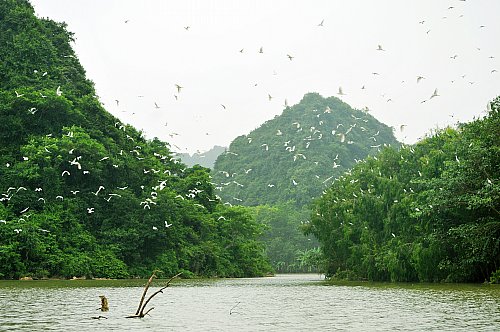 Tour du lịch khu sinh thái Vườn chim Thung Nham