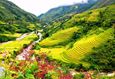 tour-du-lich-sapa-119351.jpg