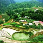 tour-du-lich-trong-nuoc-51779.jpg