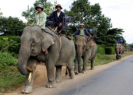 tour-ha-noi-hue-komtum-pleiku-quy-nhon-28235.jpg