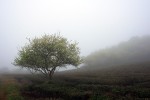 tour-kham-pha-moc-chau-31774.jpg