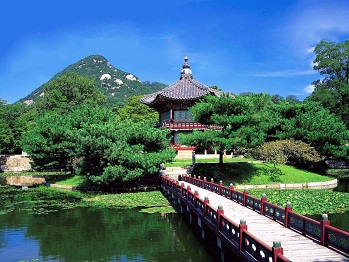 trung_tam_lu_hanh_top_travel_80k617k6.jpg