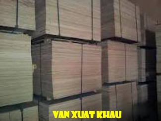 van-xuat-khau-130510.jpg