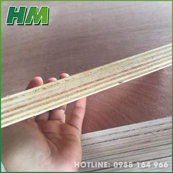 van_ep_hung_manh_cong_ty_tnhh_che_bien_lam_san_hung_manh_3259601W.png