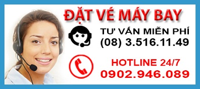 ve-may-bay-gia-re-103454.jpg