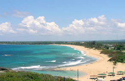 ve-may-bay-gia-re-38542.jpg