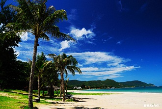 ve-may-bay-noi-dia-26603.jpg